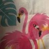 flamingofam11